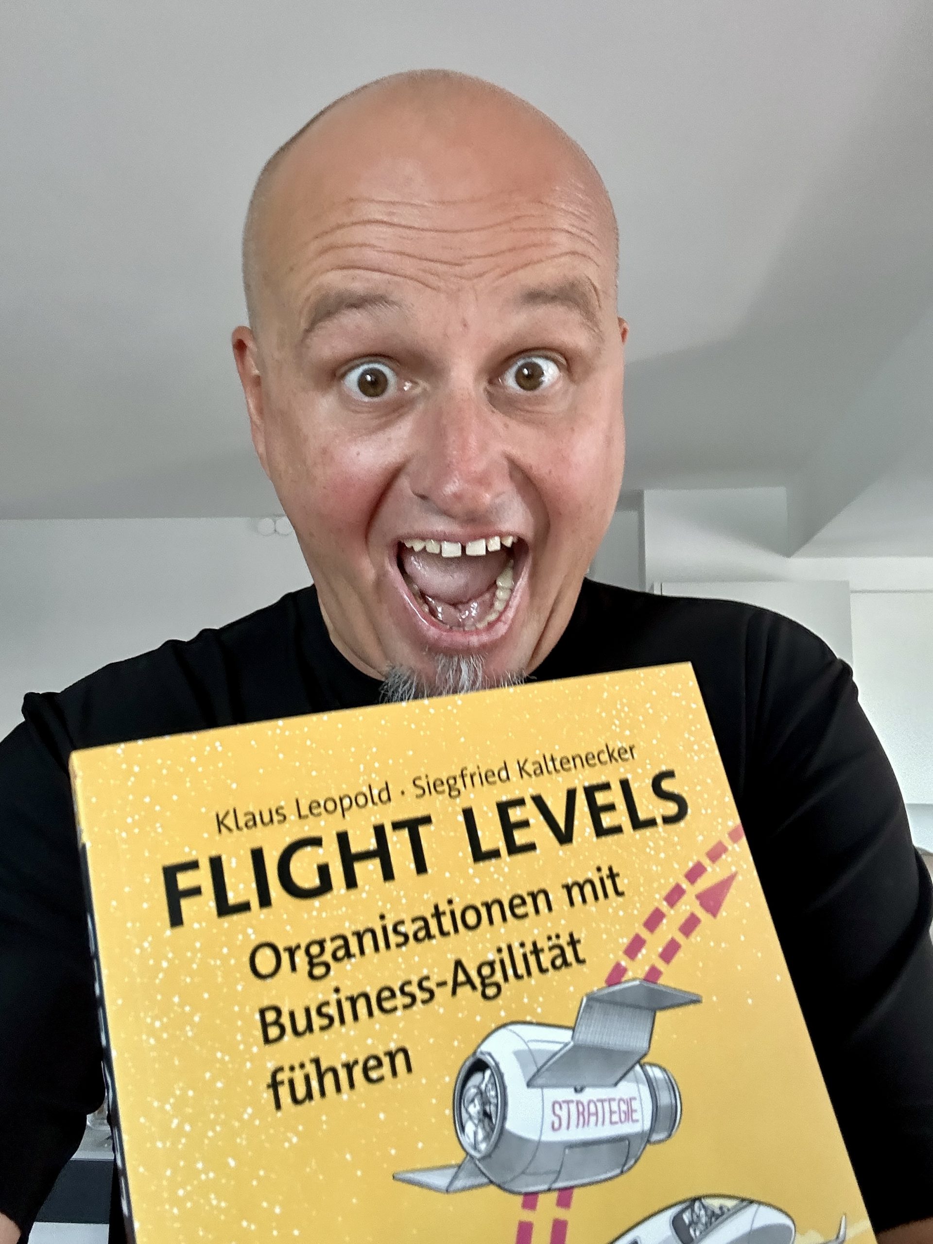 FLIGHT LEVELS Das Buch, Blog LEANability